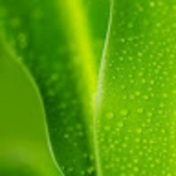 Meet your Posher, Gabriella - Picture 1 of 1